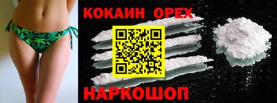 эйфоретик Кингисепп