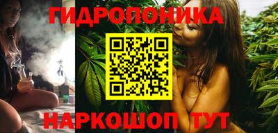эйфоретик Кингисепп