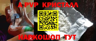 эйфоретик Кингисепп