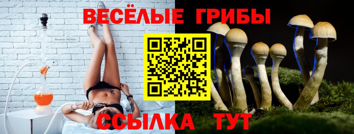 Псилоцибиновые грибы прущие грибы Юрга