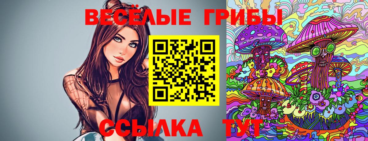 Галлюциногенные грибы Cubensis  Вход с VPN  Юрга 